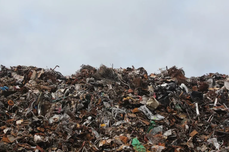Why Does Florida Have A Reputation For Being Trashy?