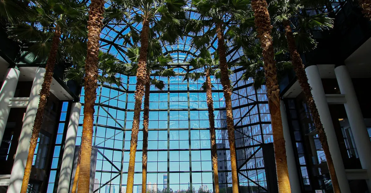 Are There Palm Trees In New York? Eye And Pen