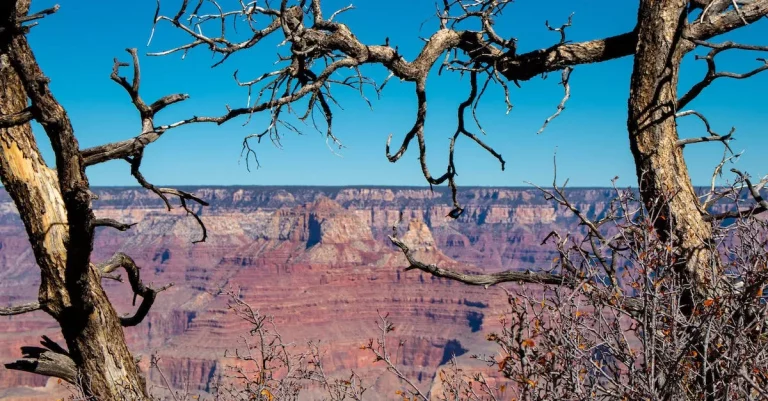 Colorado Vs Arizona: A Detailed Comparison Of Living In The Two States