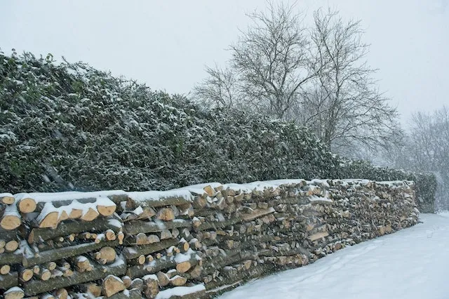 Winter In Dallas, Texas: What To Expect And How To Prepare