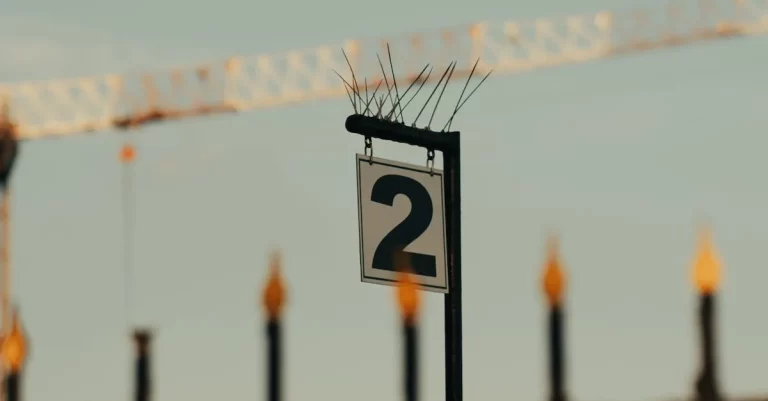 How Long Does It Take To Get Mail From Texas?