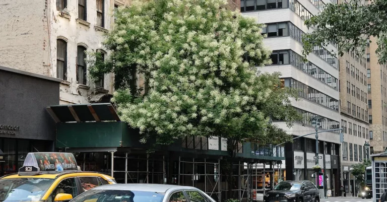 Getting From Greenwich, Ct To New York City: Distance, Transportation Options And More