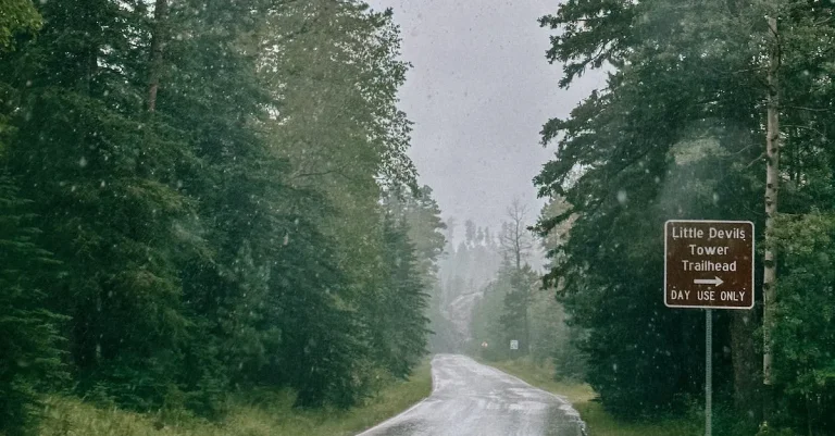 Why Does It Rain So Much In Florida? Examining The Science Behind Florida’S Frequent Rainfall