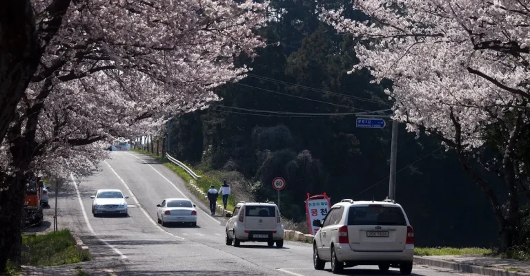 Is Hawaii Closer To Japan Or California?