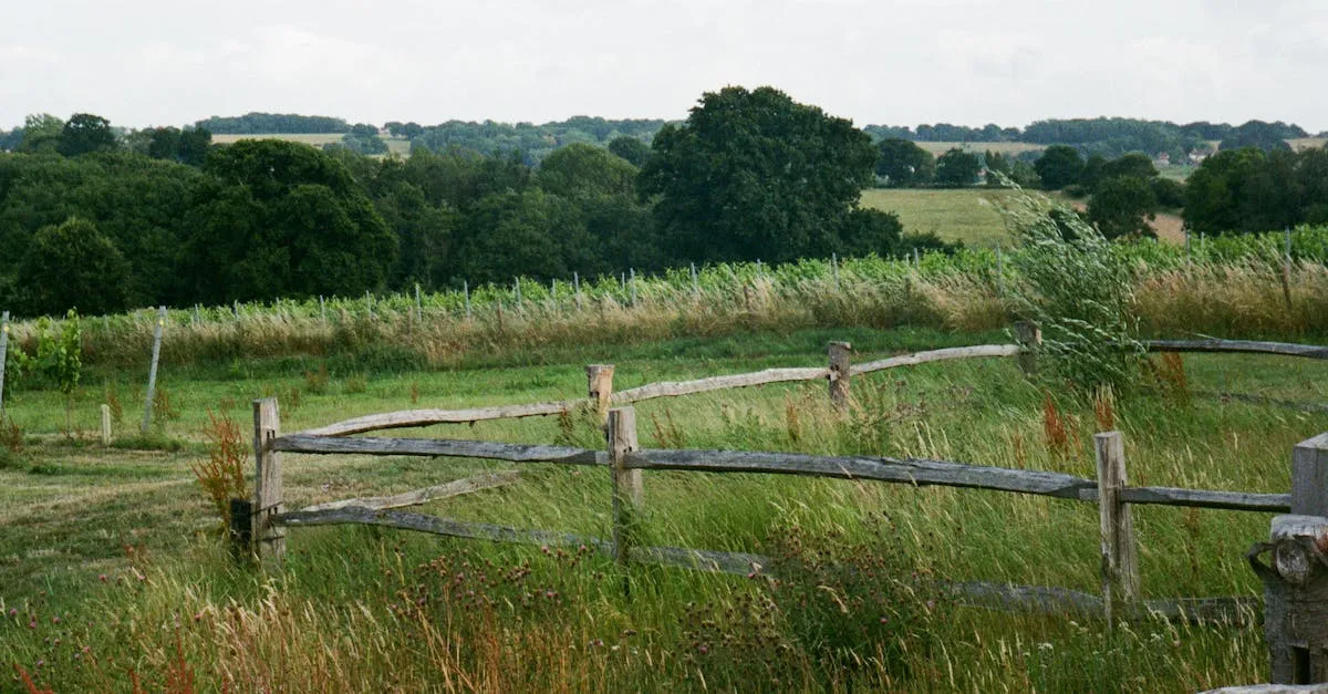 How Much Does An Acre Of Land Cost In California? A Breakdown By Region Eye And Pen