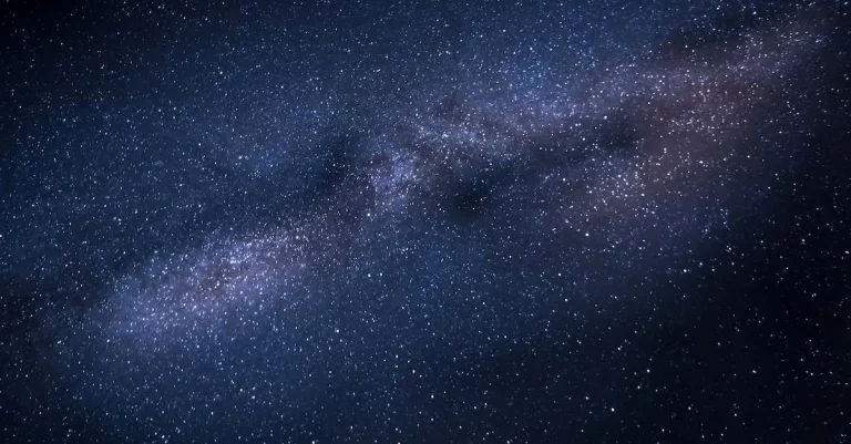 Finding The Best Astrologer In Florida