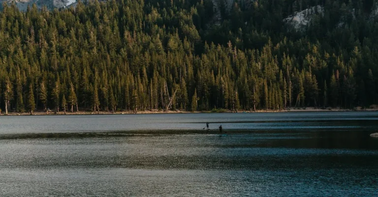 Does California Get Water From Other States? An In-Depth Look