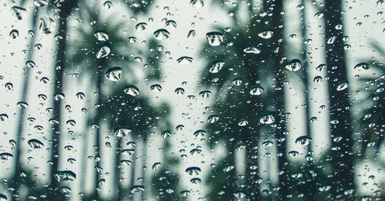 Examining Seattle’S Rainy Reputation: Does It Actually Rain All The Time?