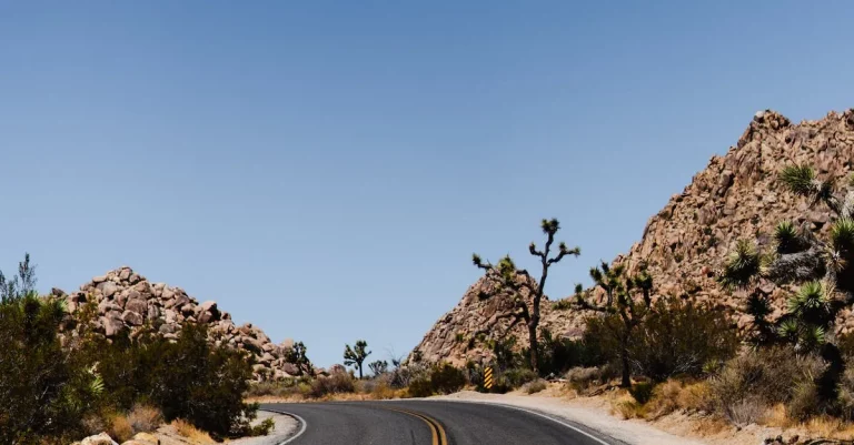How Long Does It Take To Drive To Dallas, Texas?