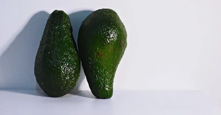 Can You Grow Avocados In New York?