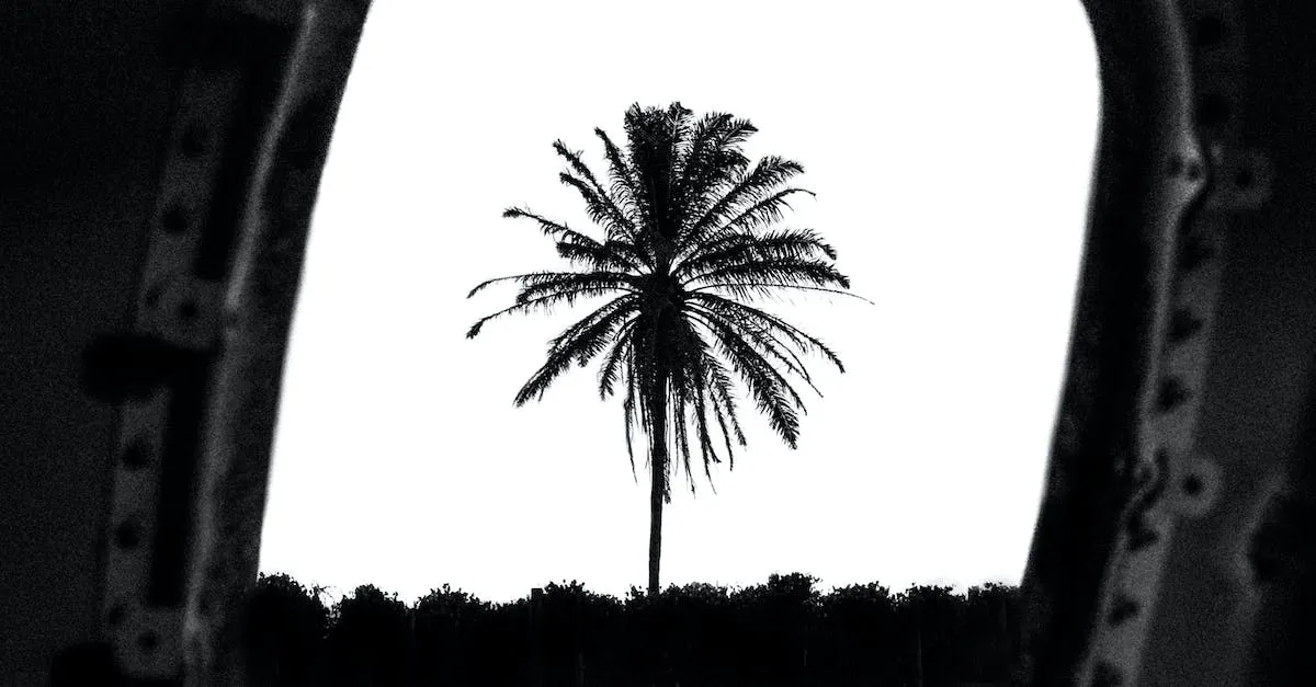 Do Palm Trees Grow Naturally In Florida? Eye And Pen