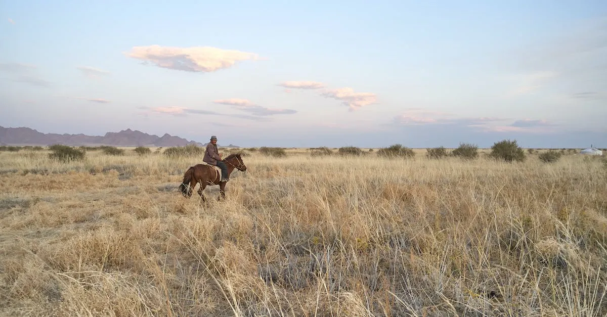How To Get Free Land In Texas A Comprehensive Guide Eye And Pen