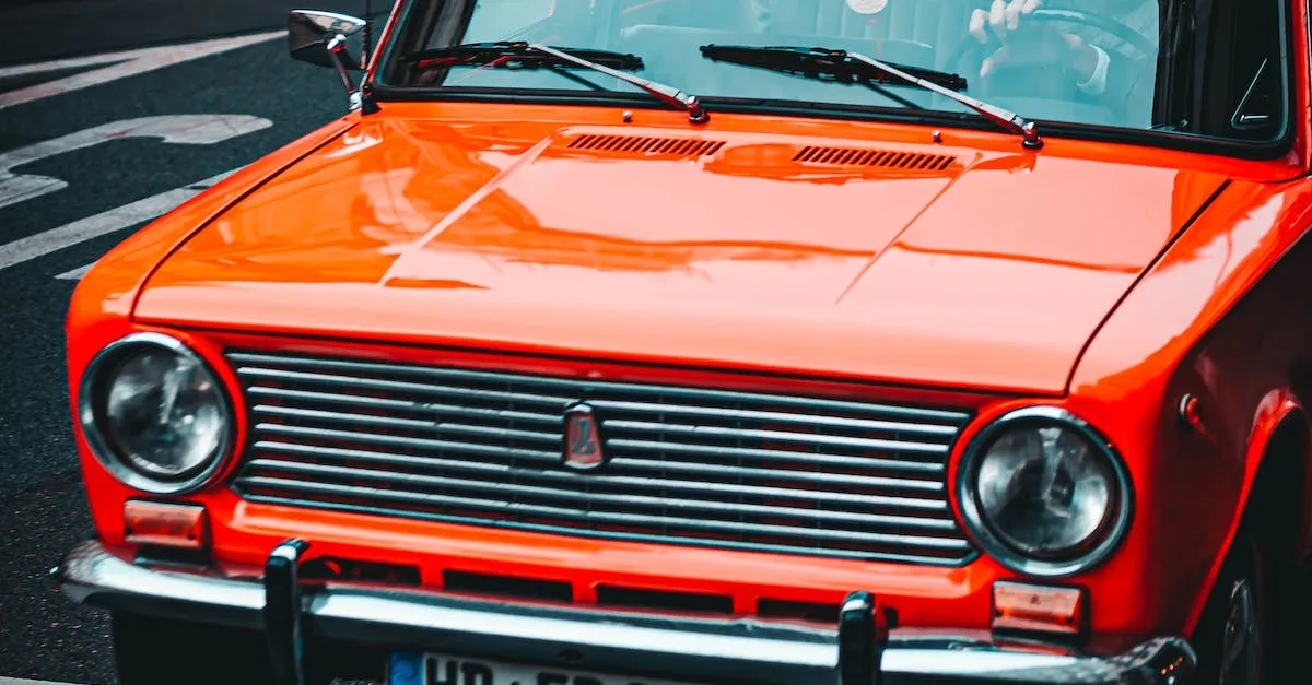 How To Do A Free Driver'S License Number Lookup In California Eye And Pen