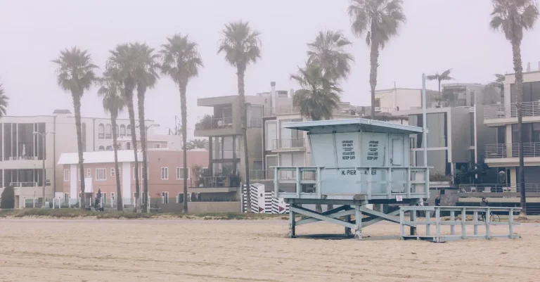 Unraveling The Mysterious Meaning Of ‘Colitas’ In Hotel California