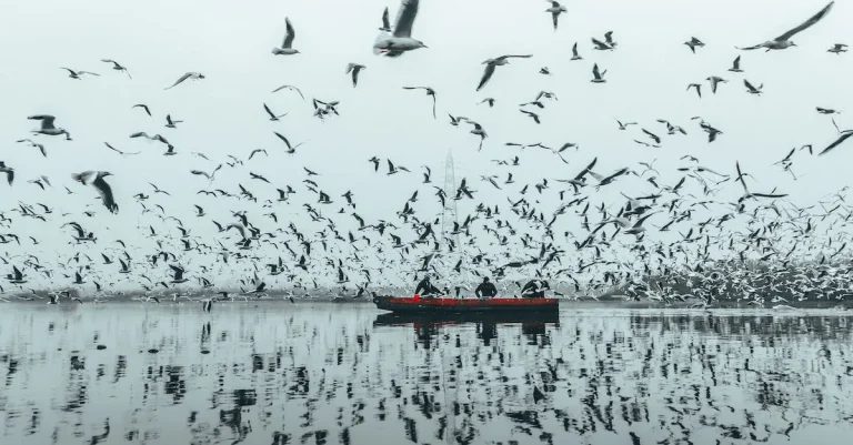 Why Does Florida Have So Many Lakes?