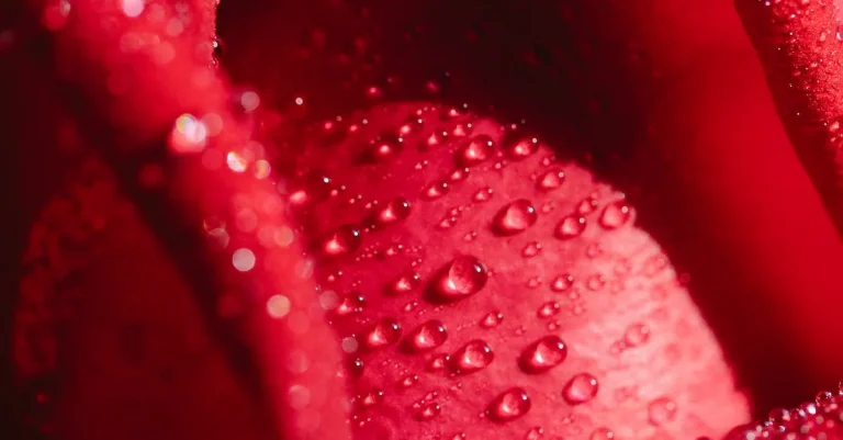 Why Does Florida Water Smell? Exploring The Science Behind The State’S Distinctive Odor
