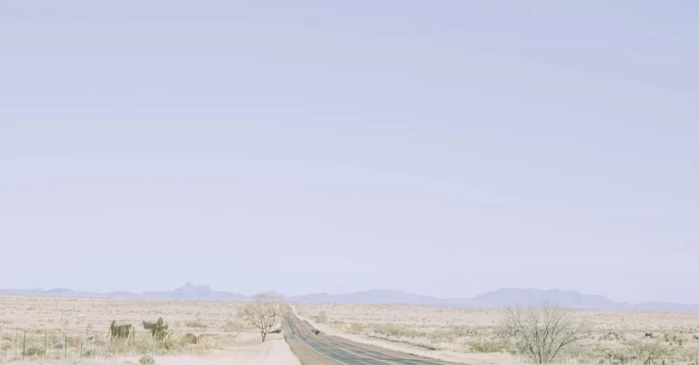 Is Texas A Desert? A Detailed Look At Texas’ Climate