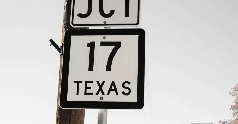 What Is The Audit Number On A Texas Driver’S License?