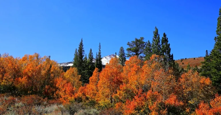 The 4 Seasons Of California: A Closer Look At The State’S Diverse Regional Climates