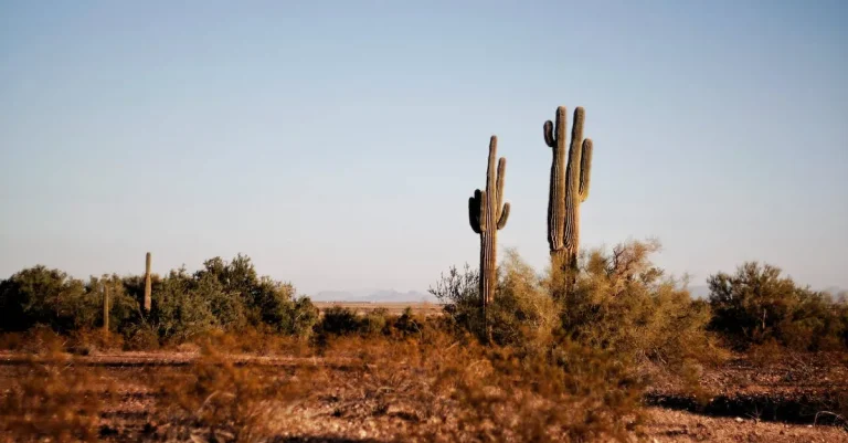 Is Texas Hotter Than Arizona?