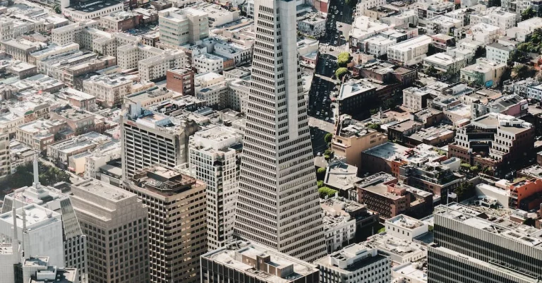Understanding The 503 Area Code In California