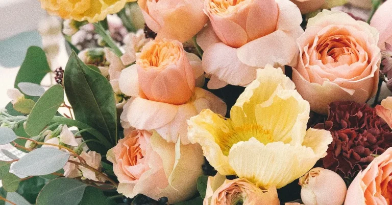 When Do Roses Bloom In California