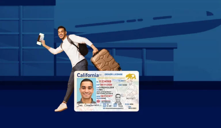 Everything You Need To Know About The California Interim Driver License