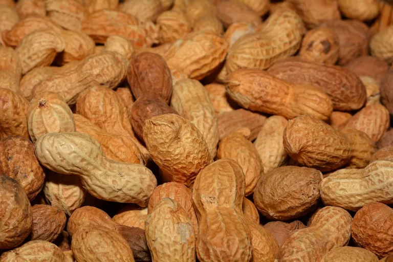 Does Texas Roadhouse Have Peanuts? What To Know Before You Go