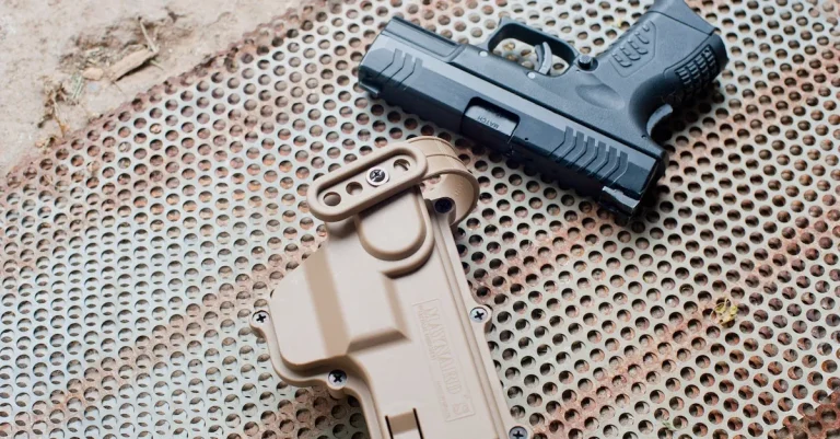 Can I Apply For A Gun License Online In California?