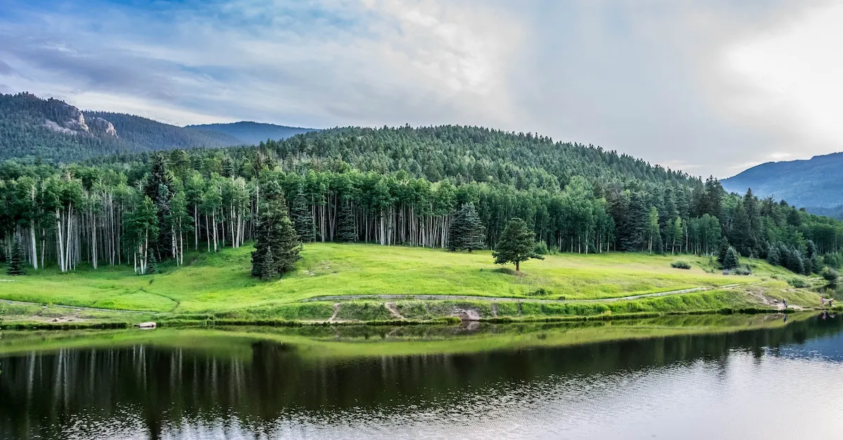 How Safe Is Chicago'S Lakeview Neighborhood? An InDepth Look Eye And Pen
