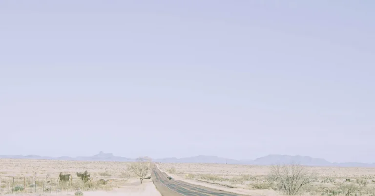 The Ultimate Road Trip Guide: Driving From Texas To California