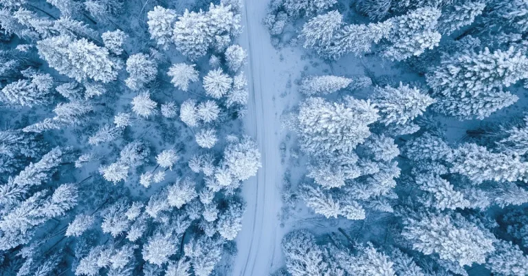Does It Snow In Dallas, Texas? Examining The City’S Winter Weather