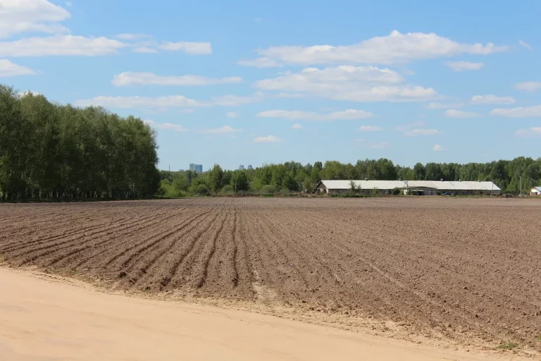 How Many Acres Are In Texas? Exploring The Immense Size Of The Lone Star State