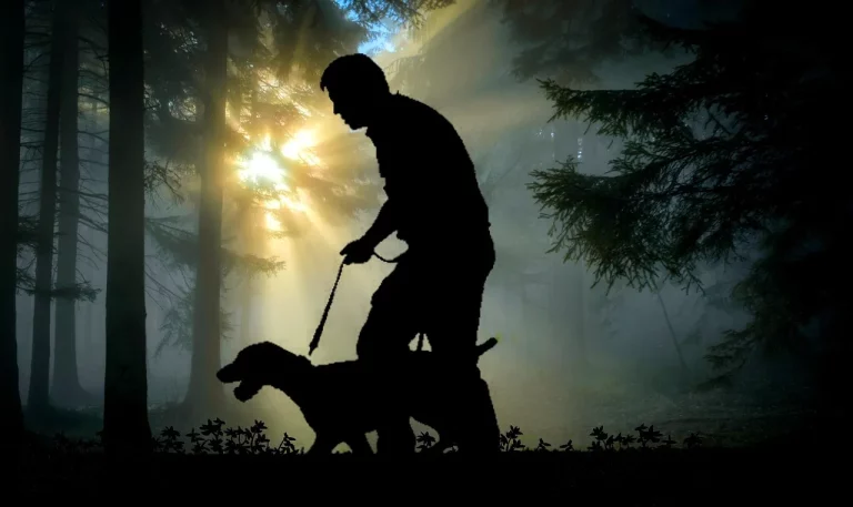 Everything You Need To Know About Getting A Hunting License In California