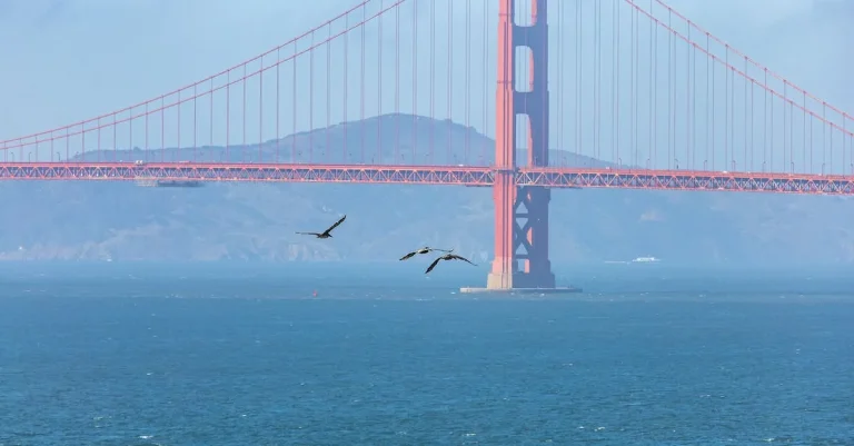 States Close To California – Exploring The Nearby Neighbors