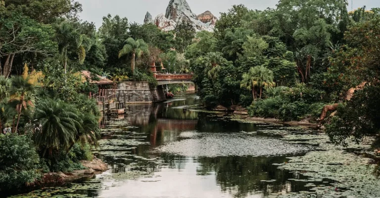 The Top Alligator-Free Lakes In Florida For Swimming And Recreation