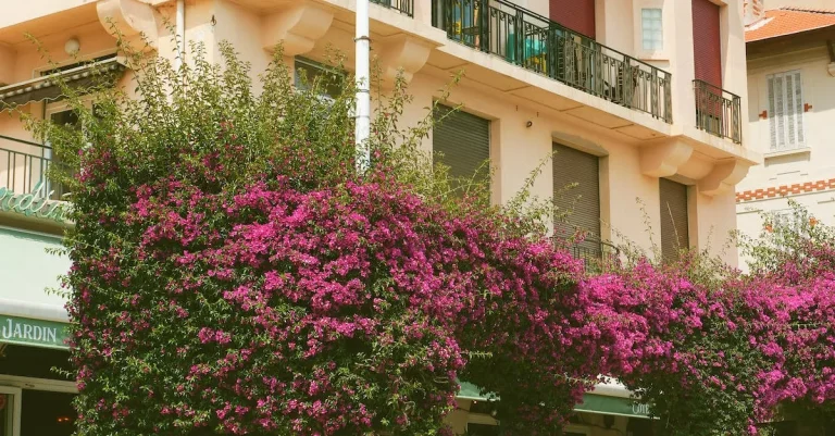 Towns Near Colorado Springs Worth Visiting