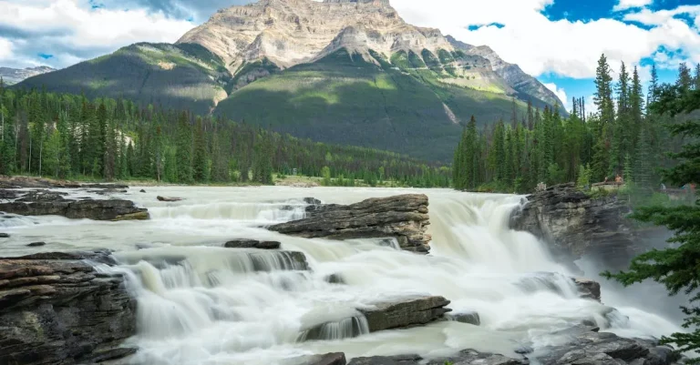 California Vs. Canada: Comparing The Populations