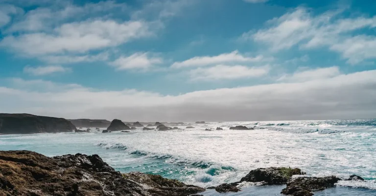 Which State Borders Both The Pacific Ocean And California?