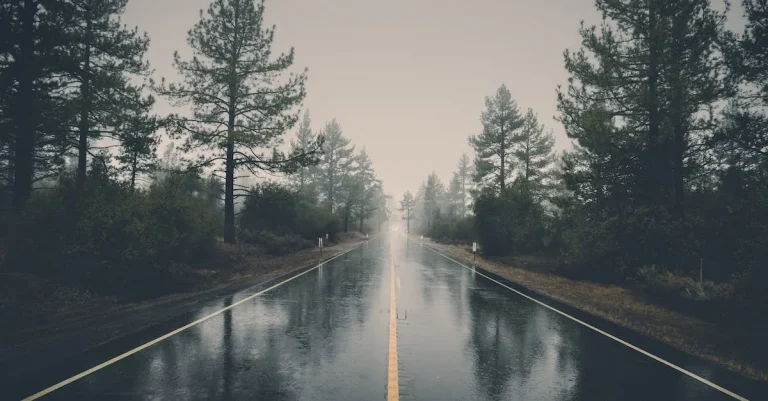 How Far Is It From Seattle To Miami? A Detailed Overview Of The Distance And Best Route Options