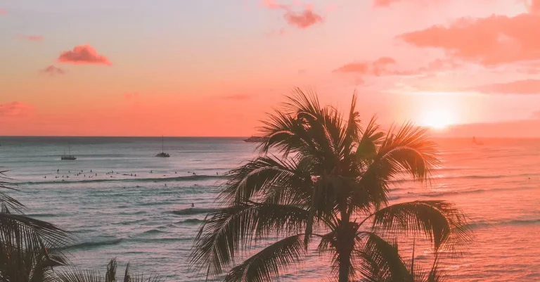 The Origins And Significance Of Miami’S Iconic Pink And Blue Aesthetic