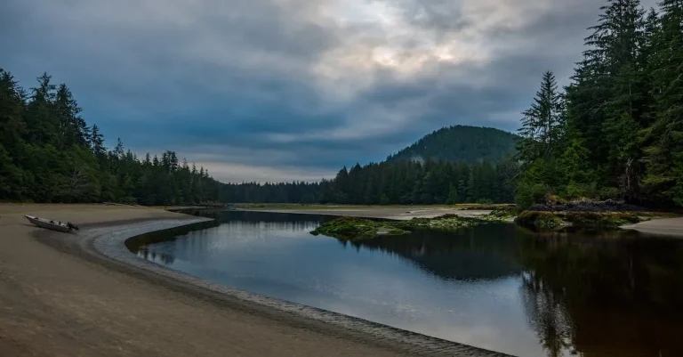San Francisco Vs Vancouver: How These West Coast Cities Stack Up