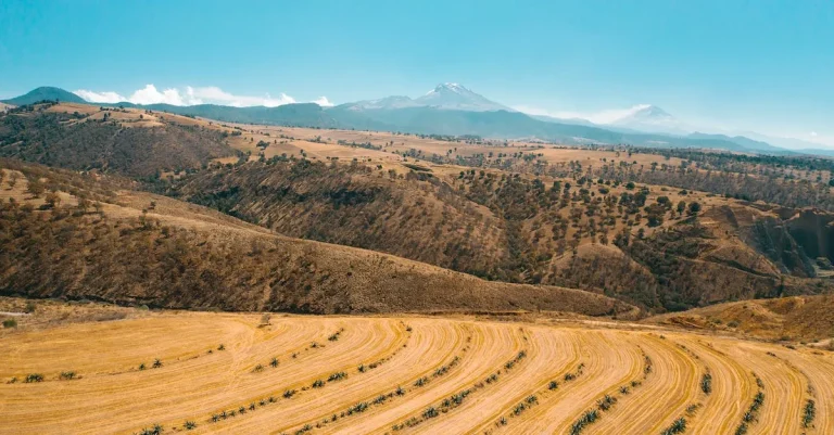 New Mexico Vs Colorado: Which State Is Right For You?