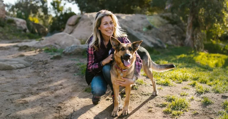 Consequences Of Not Licensing Your Dog In California