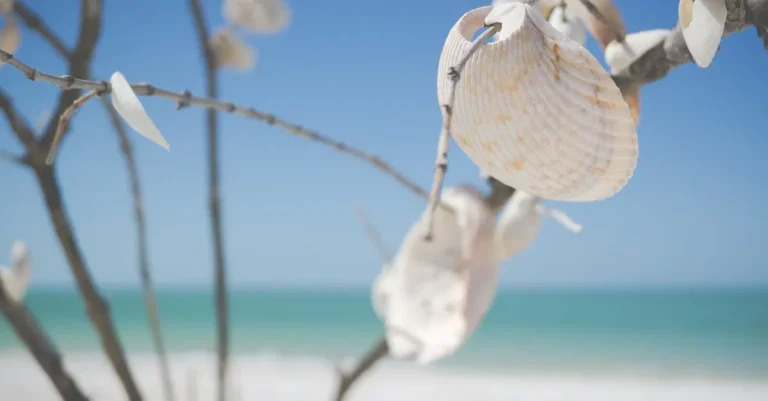 The Safest Beaches In Florida