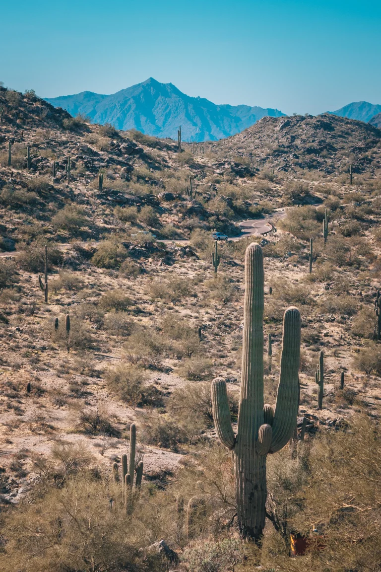 Las Vegas Vs Phoenix: Which City Is Right For You?