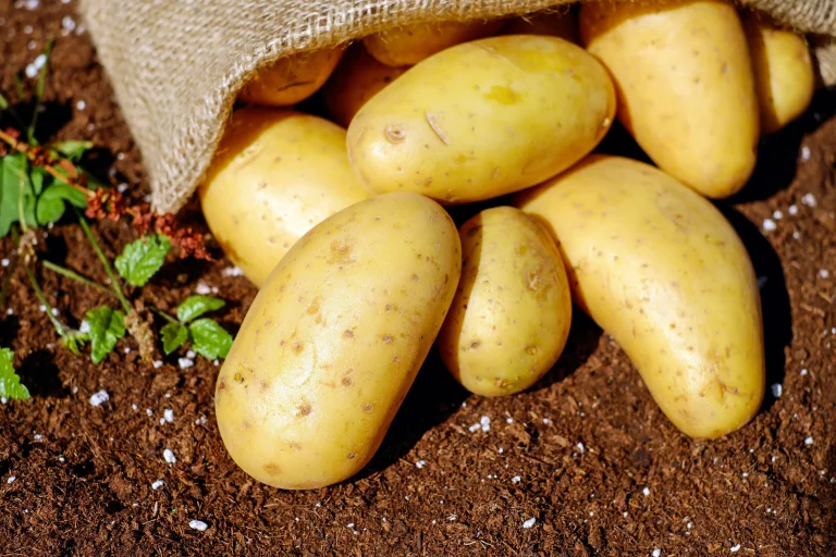 Potato Bugs In California: A Comprehensive Guide
