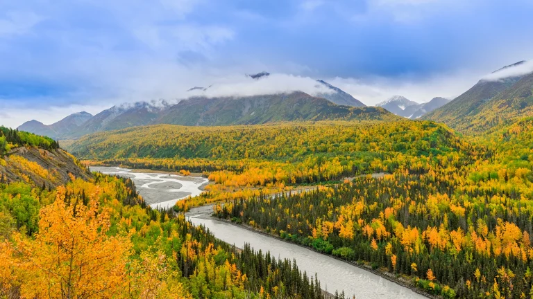 Moving From Florida To Alaska: A Complete Guide