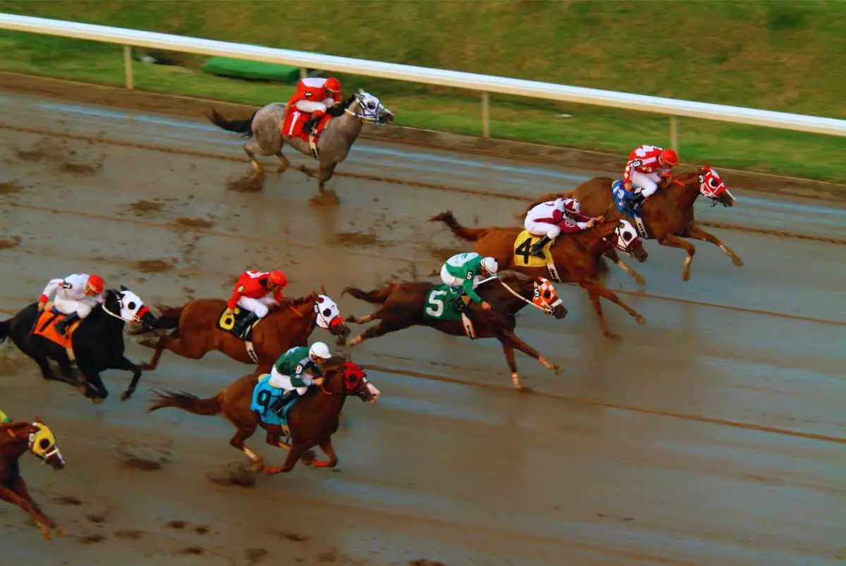Horse racing