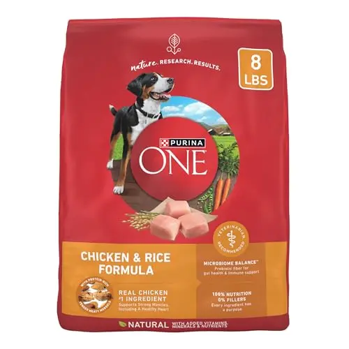 Purina ONE Chicken and Rice dry dog food